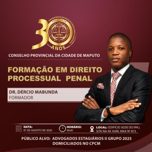 Conselho Provincial da Cidade de Maputo
